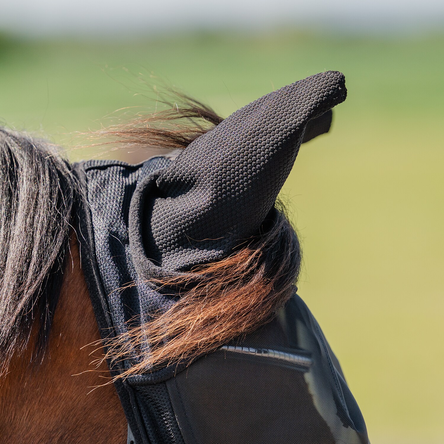 Fly hood  Everglade Rider EquiXpert®