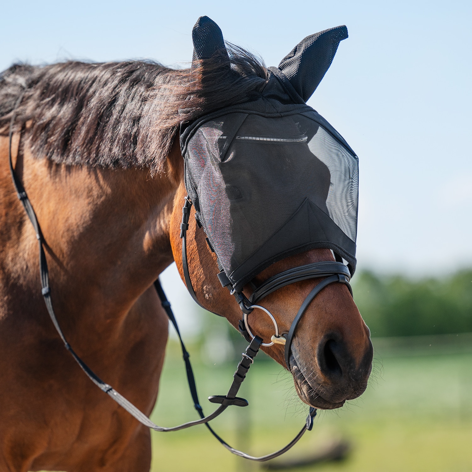 Fly hood  Everglade Rider EquiXpert®