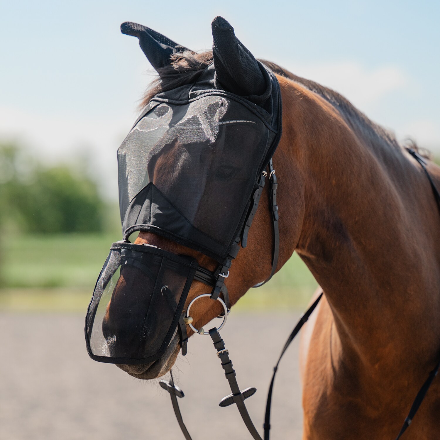 Fly hood  Everglade Rider EquiXpert®