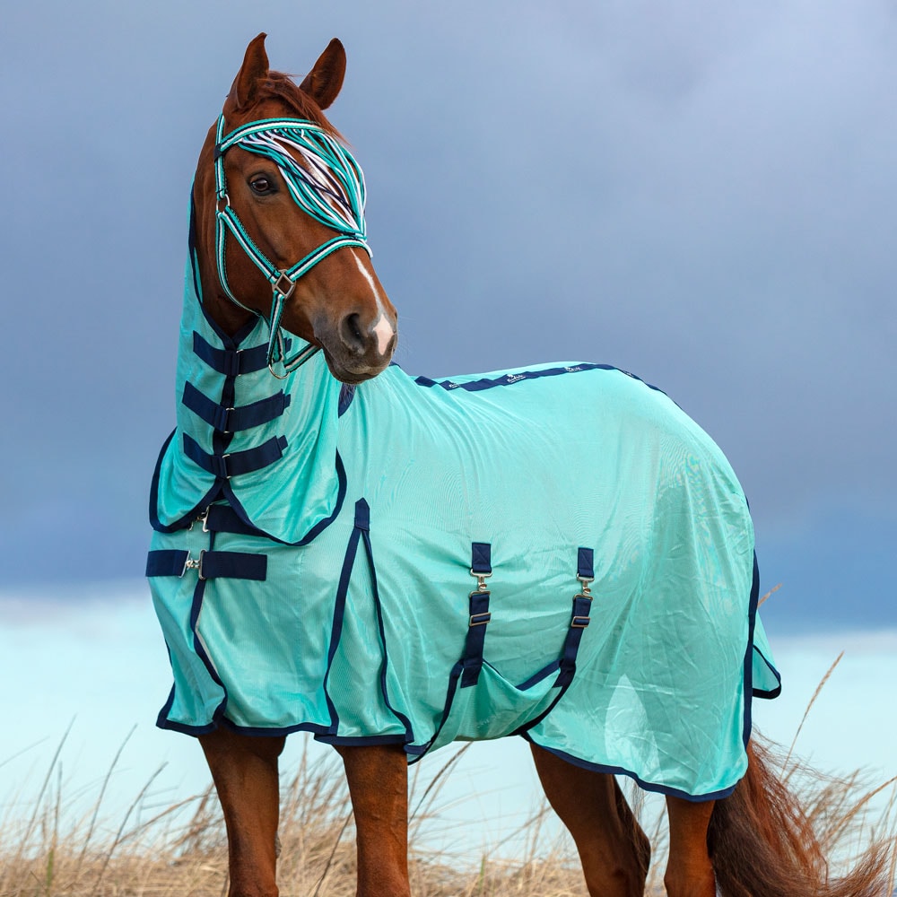 Fly rug  Fly Combo Fairfield®