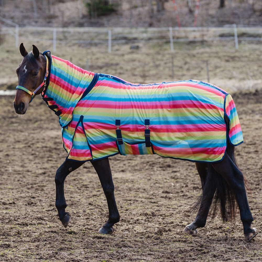Fly rug  Rainbow Fairfield®
