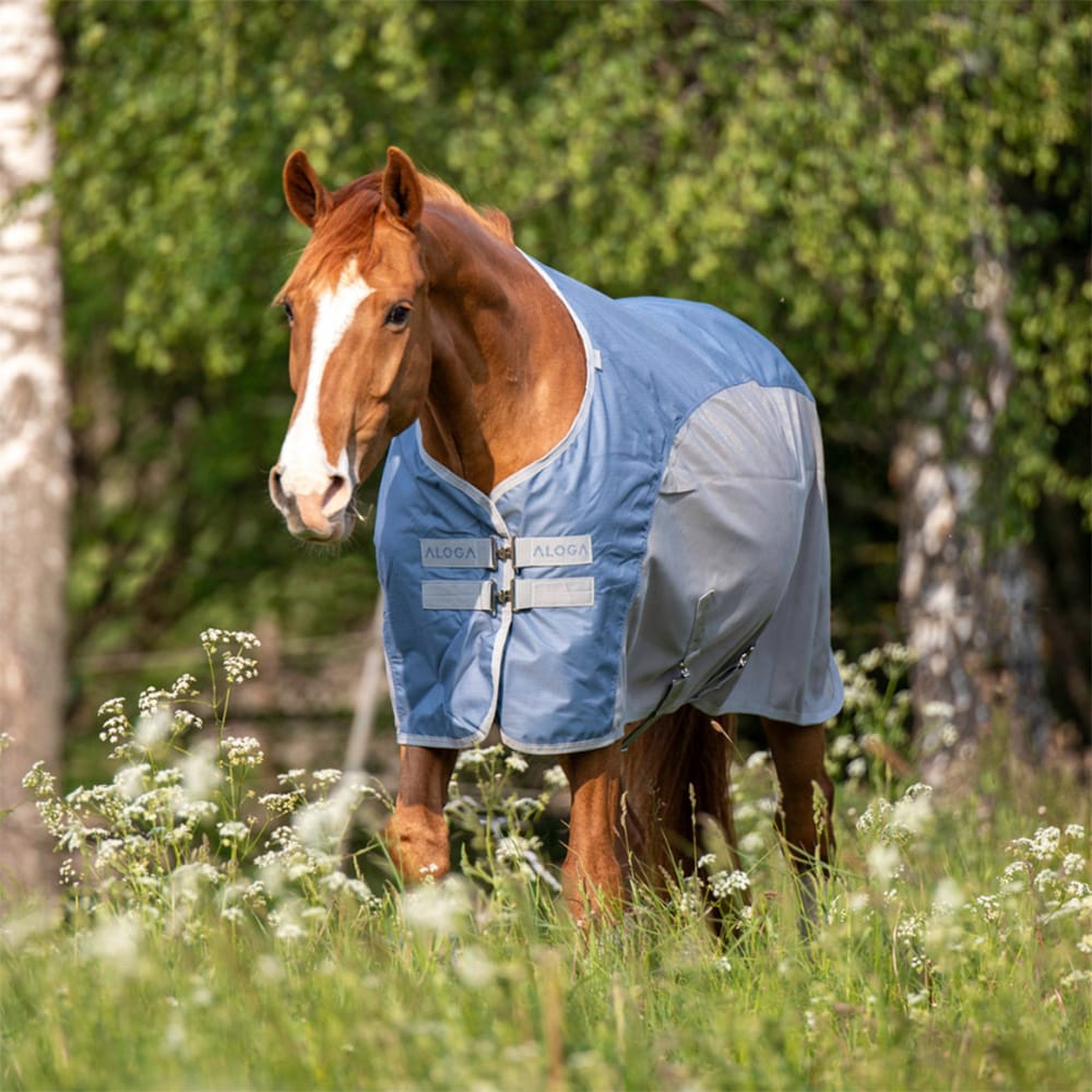 Rain/Fly rug  Fly Dry Aloga Equestrian