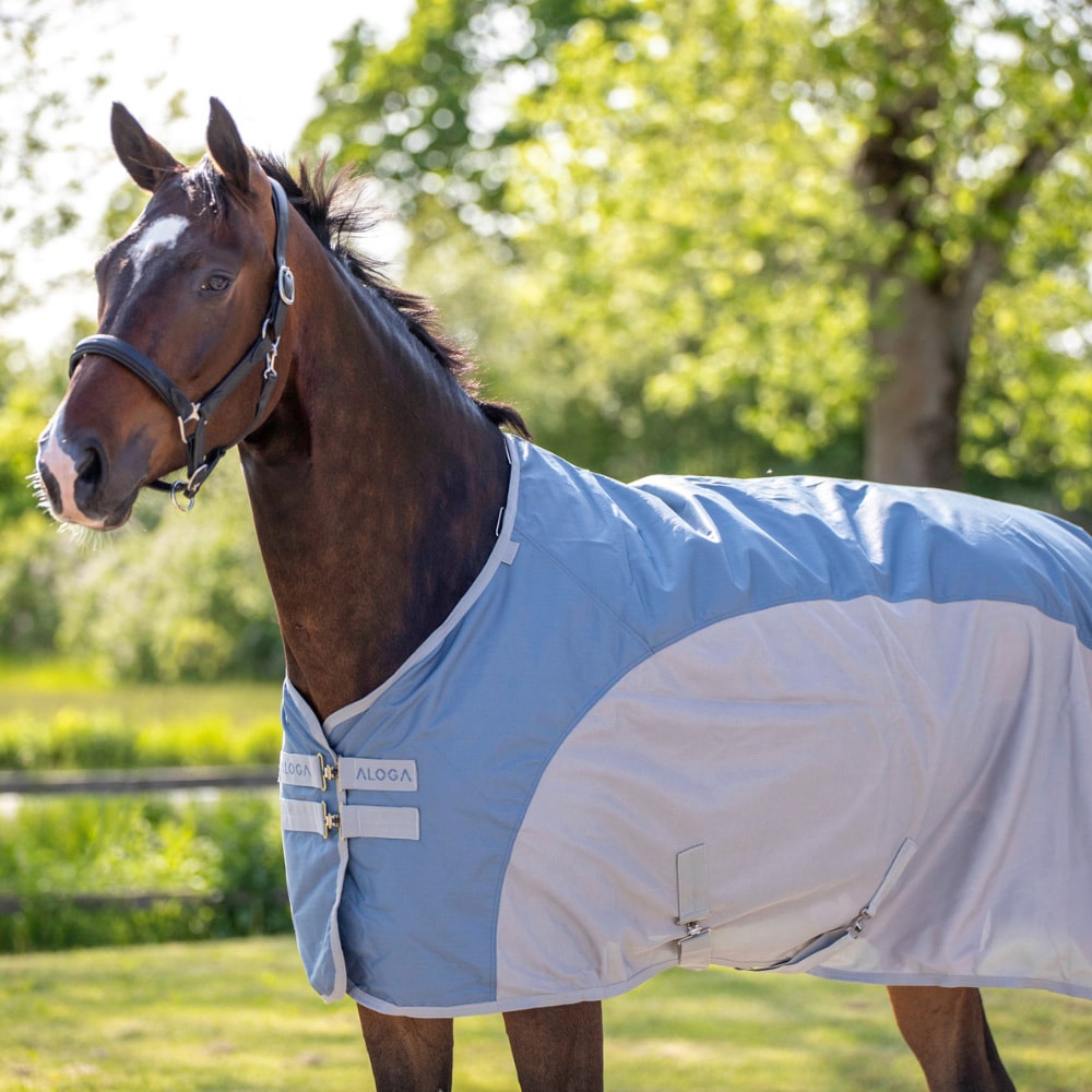 Rain/Fly rug  Fly Dry Aloga Equestrian