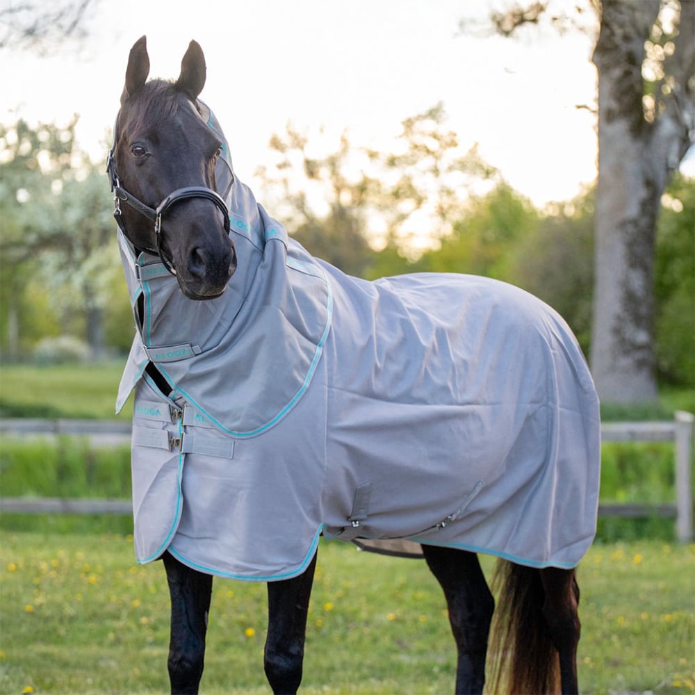 Fly rug  Fly Aloga Equestrian