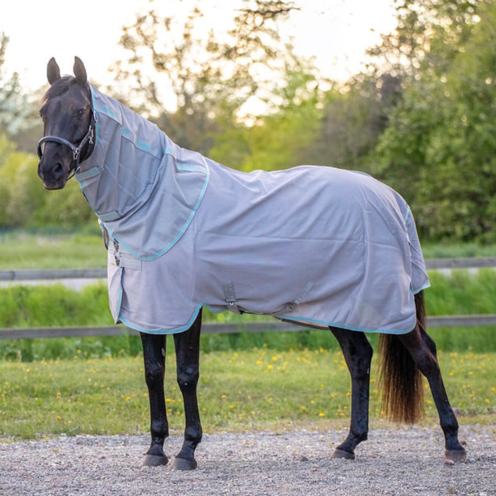 Fly rug  Fly Aloga Equestrian