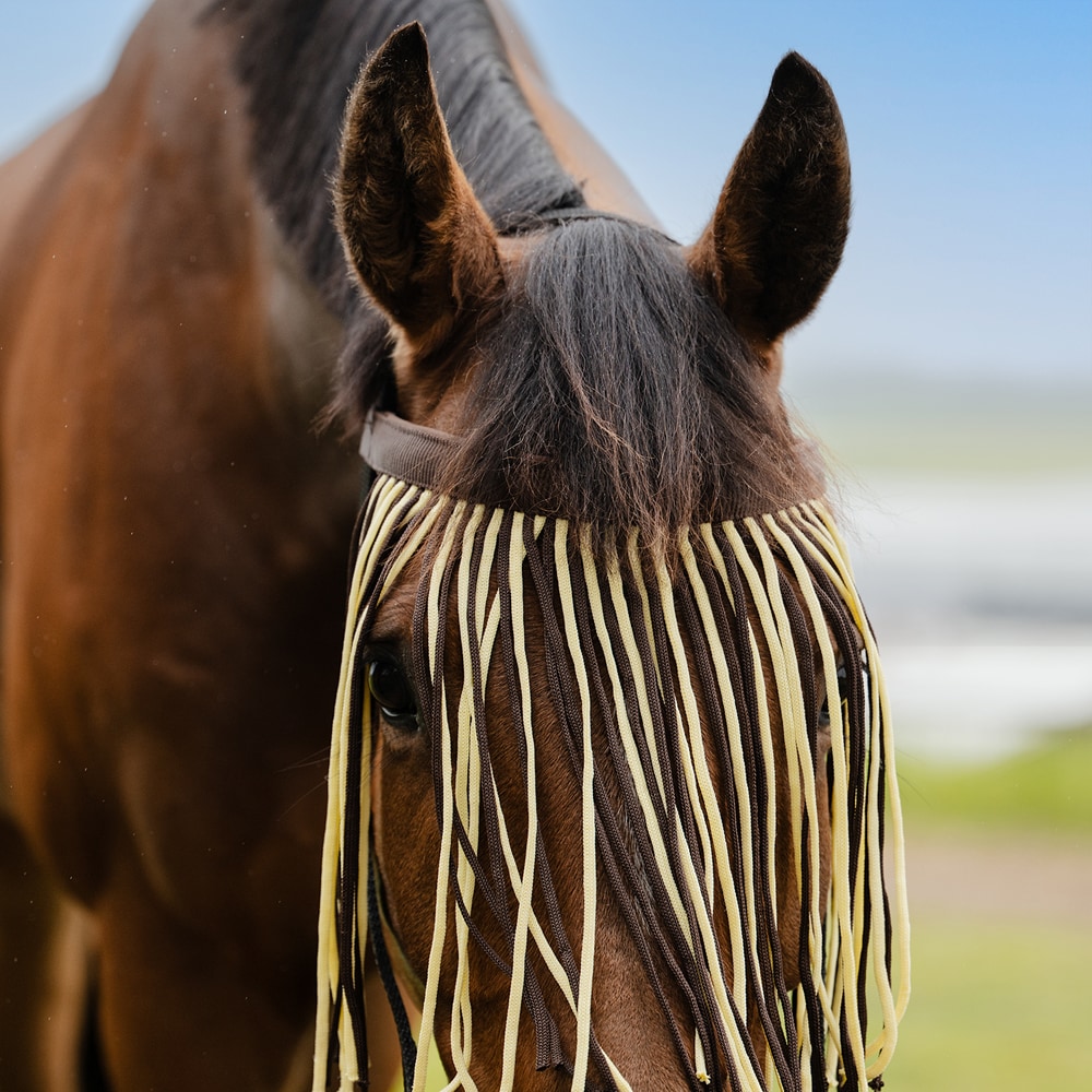 Fly fringe   Fairfield®