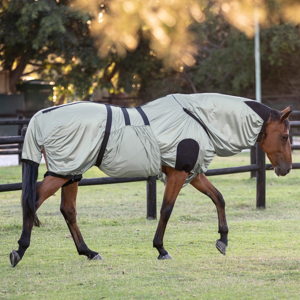 Eczema rug  Summer Shield Fairfield®