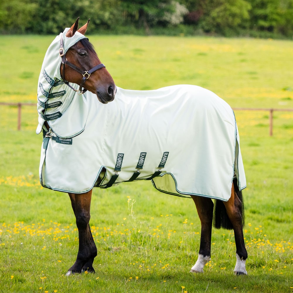 Eczema rug  Rambo Hoody Horseware®