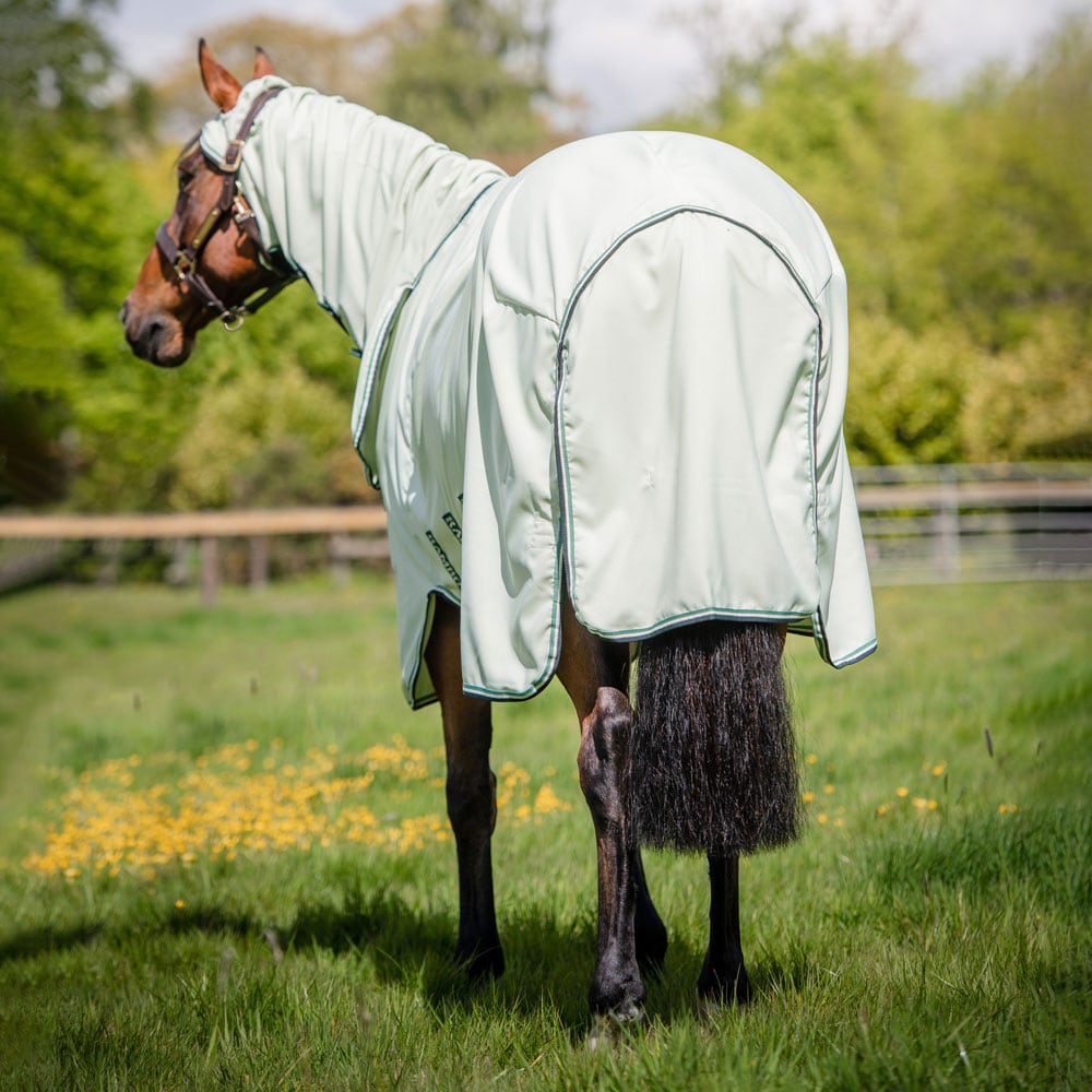 Eczema rug  Rambo Hoody Horseware®