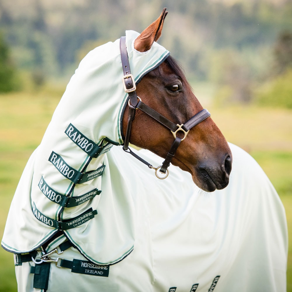 Eczema rug  Rambo Hoody Horseware®