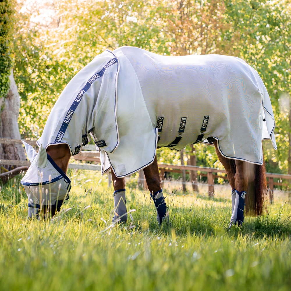 Fly rug  Rambo Protector Horseware®