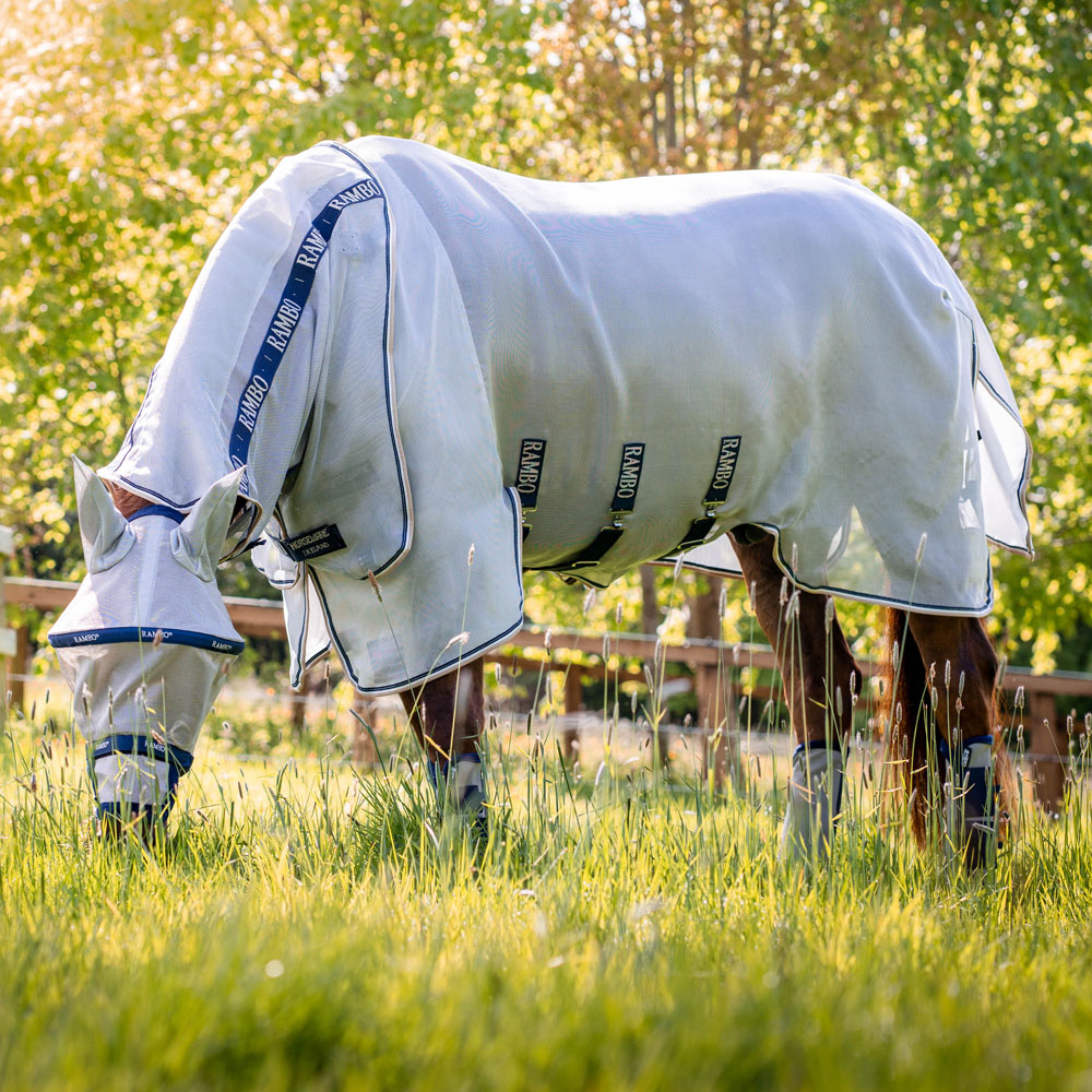 Fly rug  Rambo Protector Horseware®