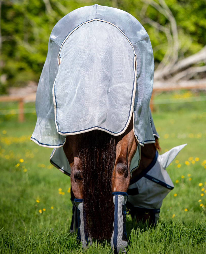 Fly rug  Rambo Protector Horseware®