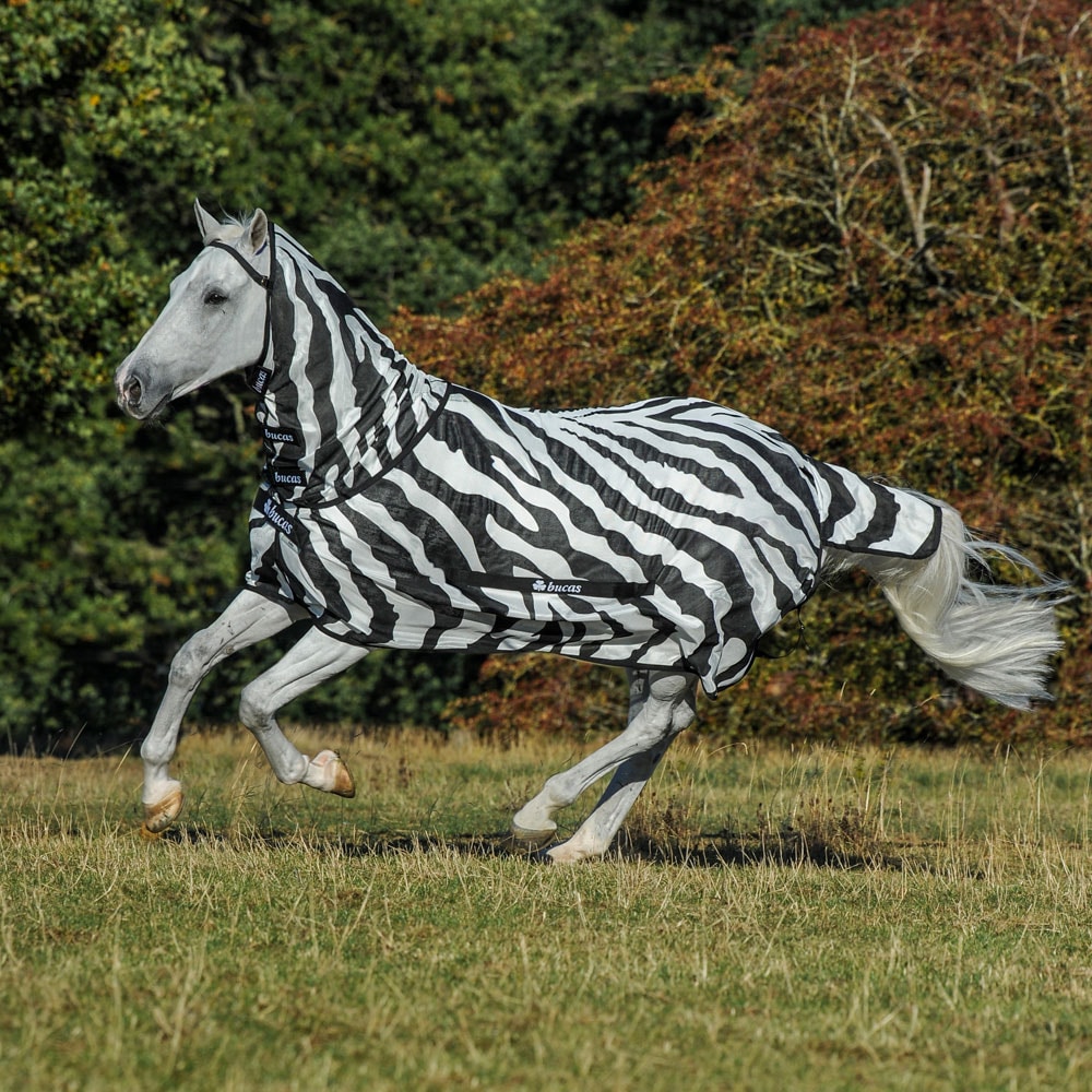 Fly rug  Buzz-Off Zebra Bucas