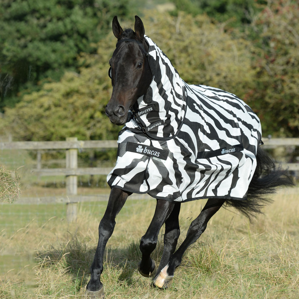 Fly rug  Buzz-Off Zebra Bucas