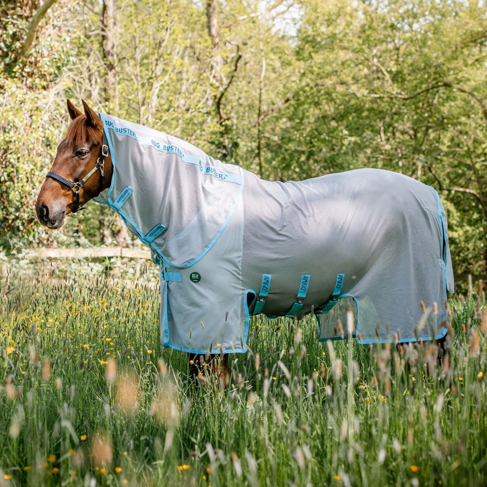 Fly rug  AmECO Bug Buster Horseware®