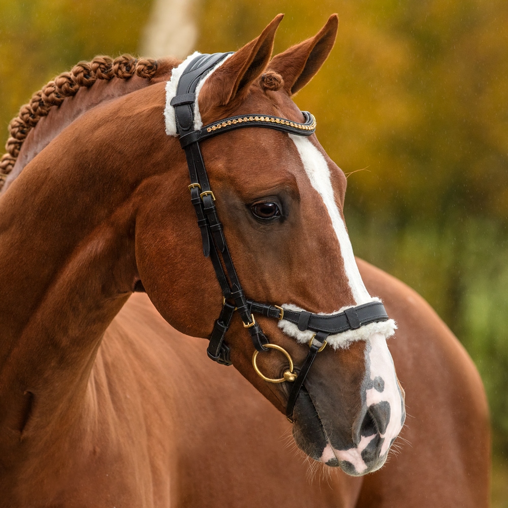 Fleece for bridle Chester Fairfield®