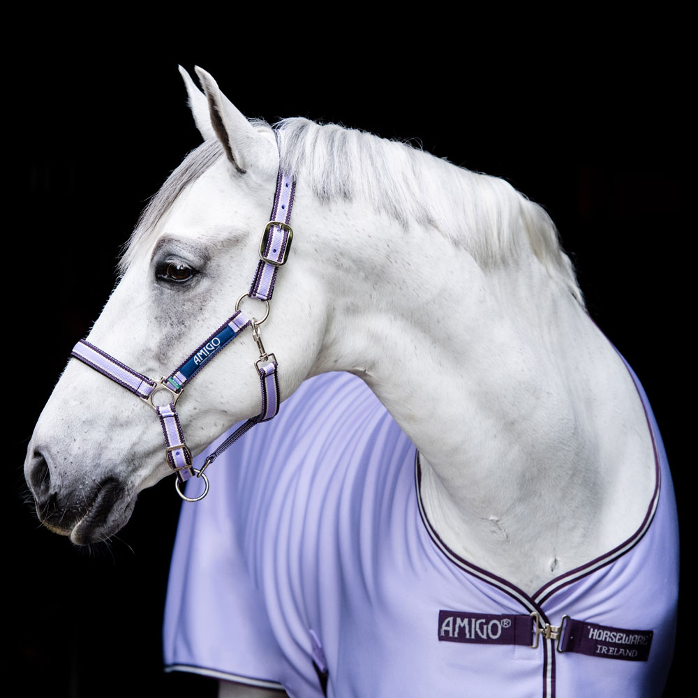 Stable rug  Amigo Jersey Cooler Horseware®