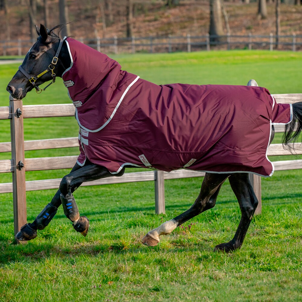 Turnout rug  Amigo Hero Ripstop Plus 200 Horseware®