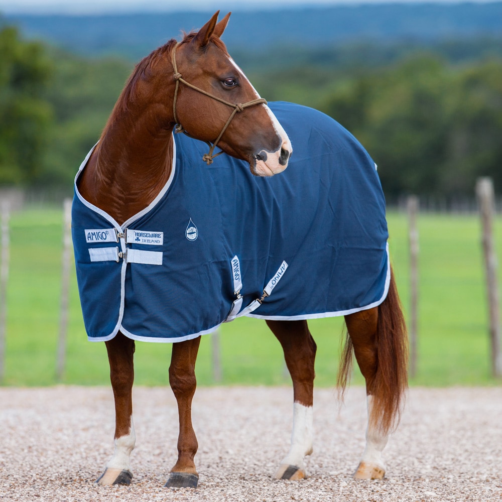 Stable rug  Amigo Stable Sheet Horseware®