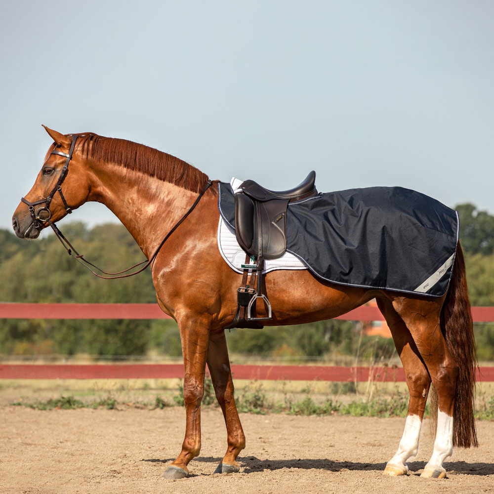 Riding rug  Amigo Competition Sheet Horseware®
