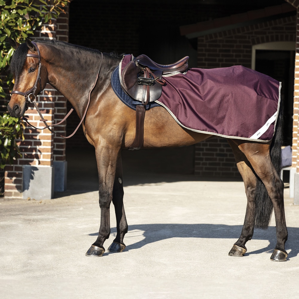 Riding rug  Amigo Competition Sheet Horseware®