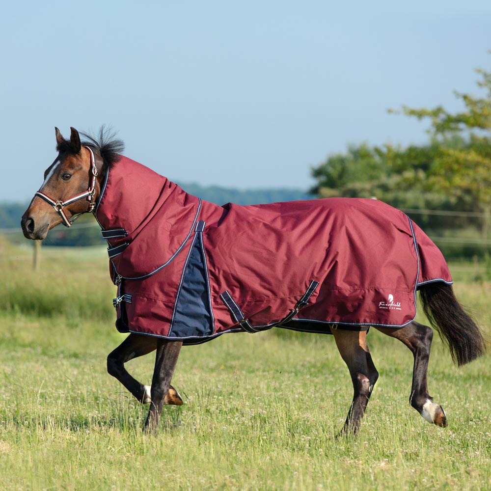 Turnout rug  Barney Fairfield®