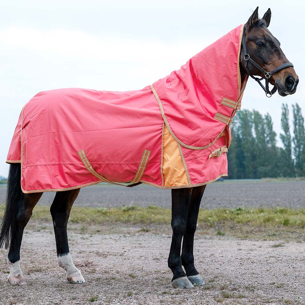 Turnout rug  Barney Fairfield®