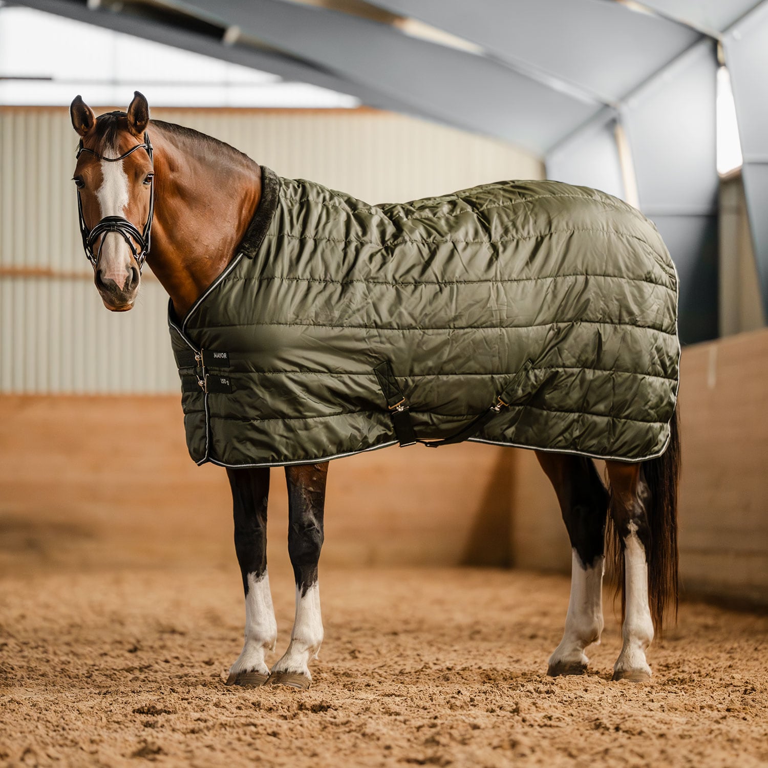 Stable rug  Mayor 150 Fairfield®