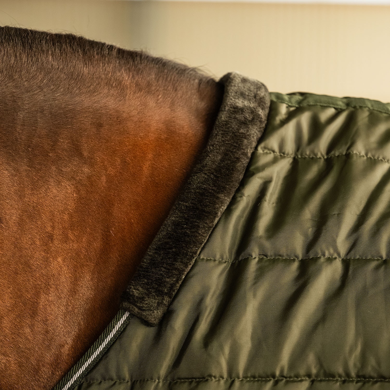 Stable rug  Mayor 150 Fairfield®