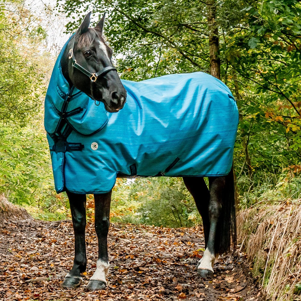 Rain rug  Amigo Hero 900 Revive Plus Horseware®