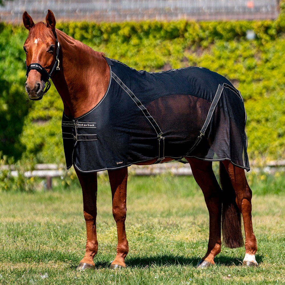 Sweat rug  Sienna Back on Track®
