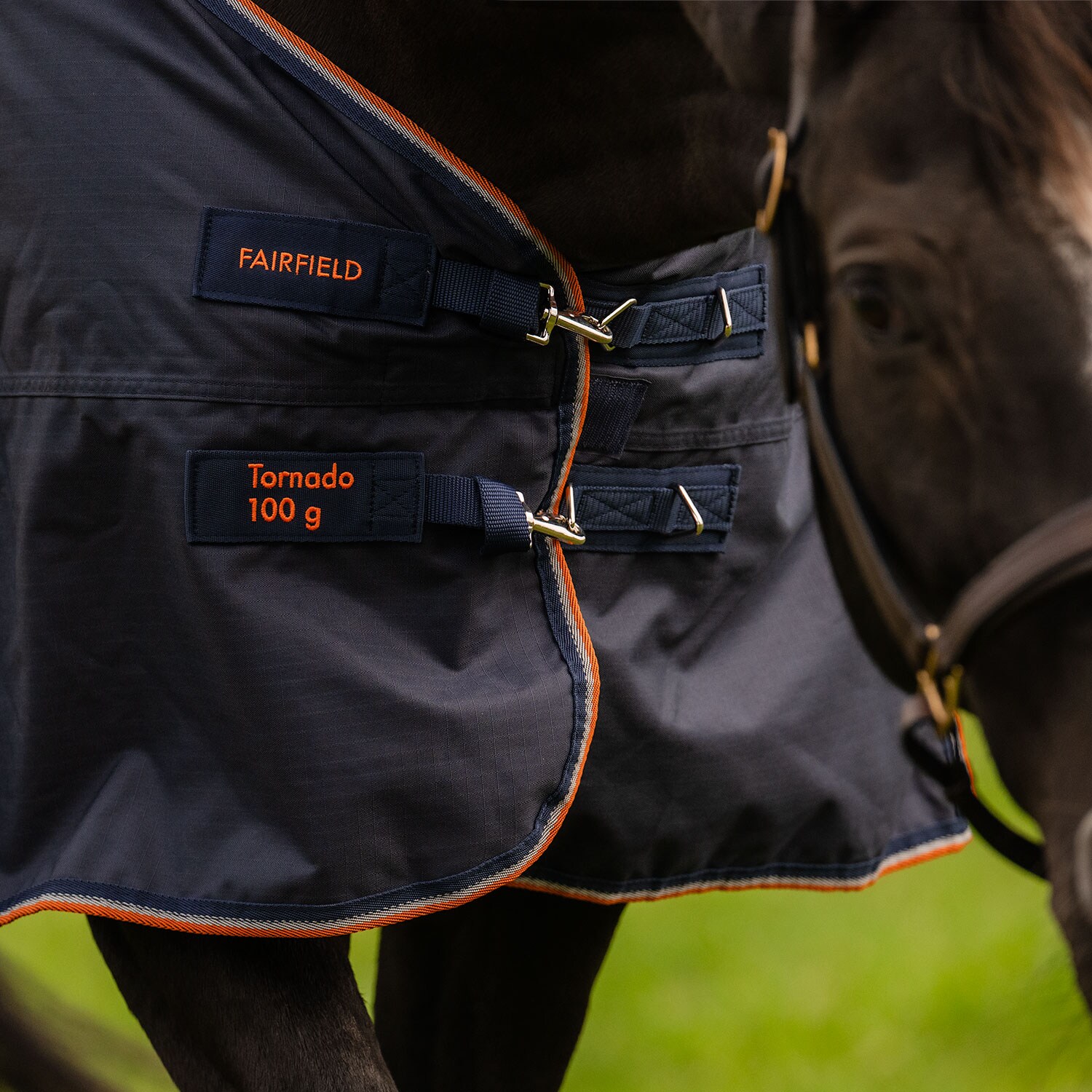 Turnout rug  Tornado 100 g Fairfield®