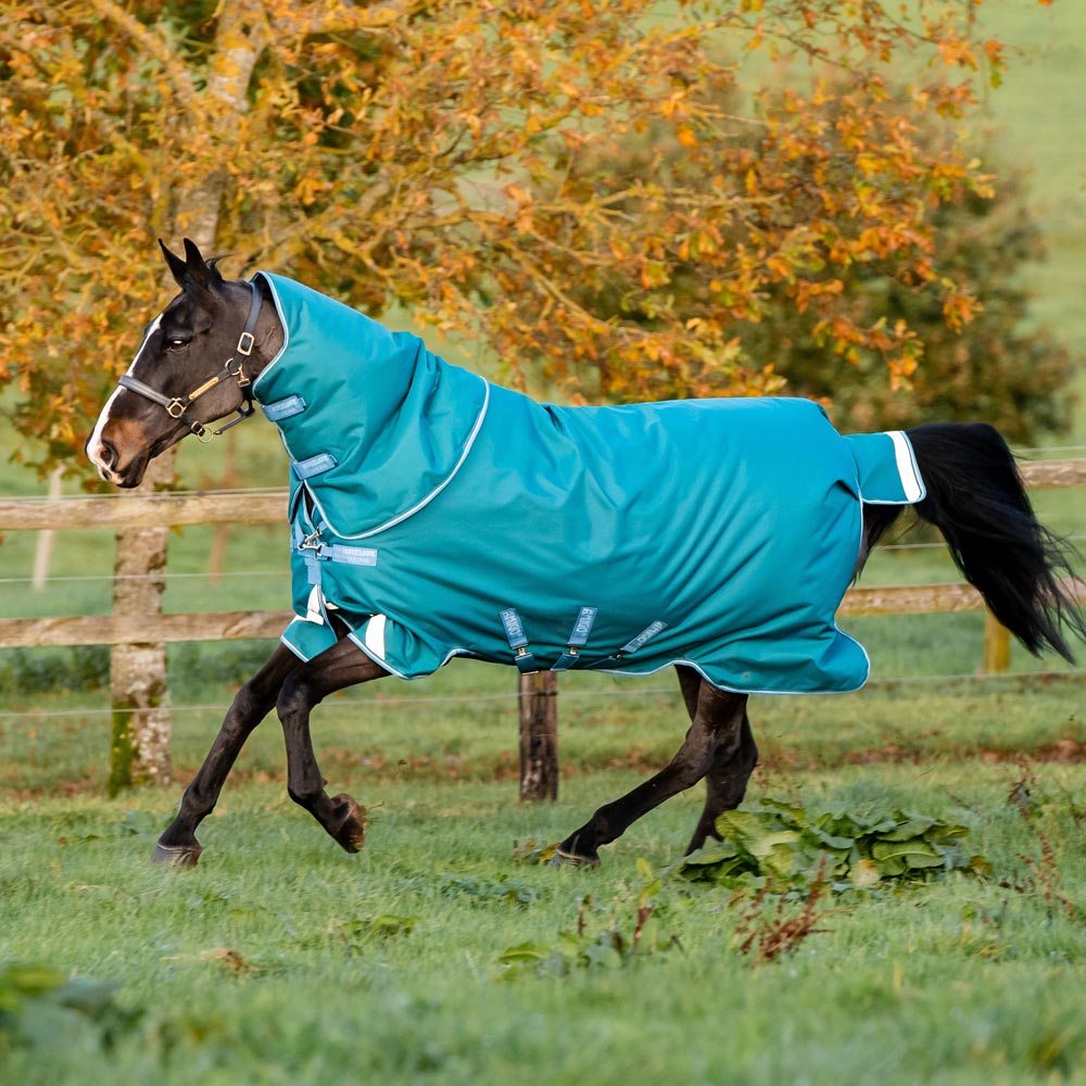 Winter rug  Amigo® Bravo Plus Heavy 400 Horseware®