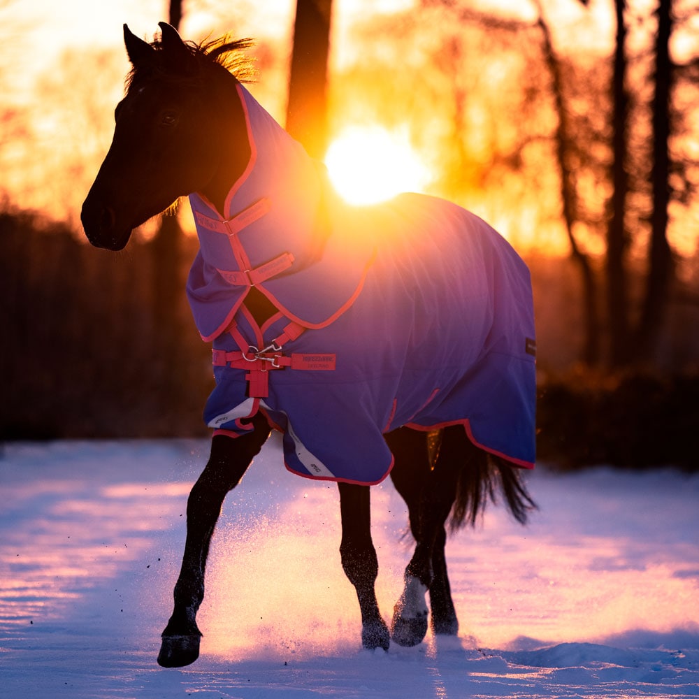 Winter rug  Amigo Bravo Reflectech Plus 250 Pony Horseware®