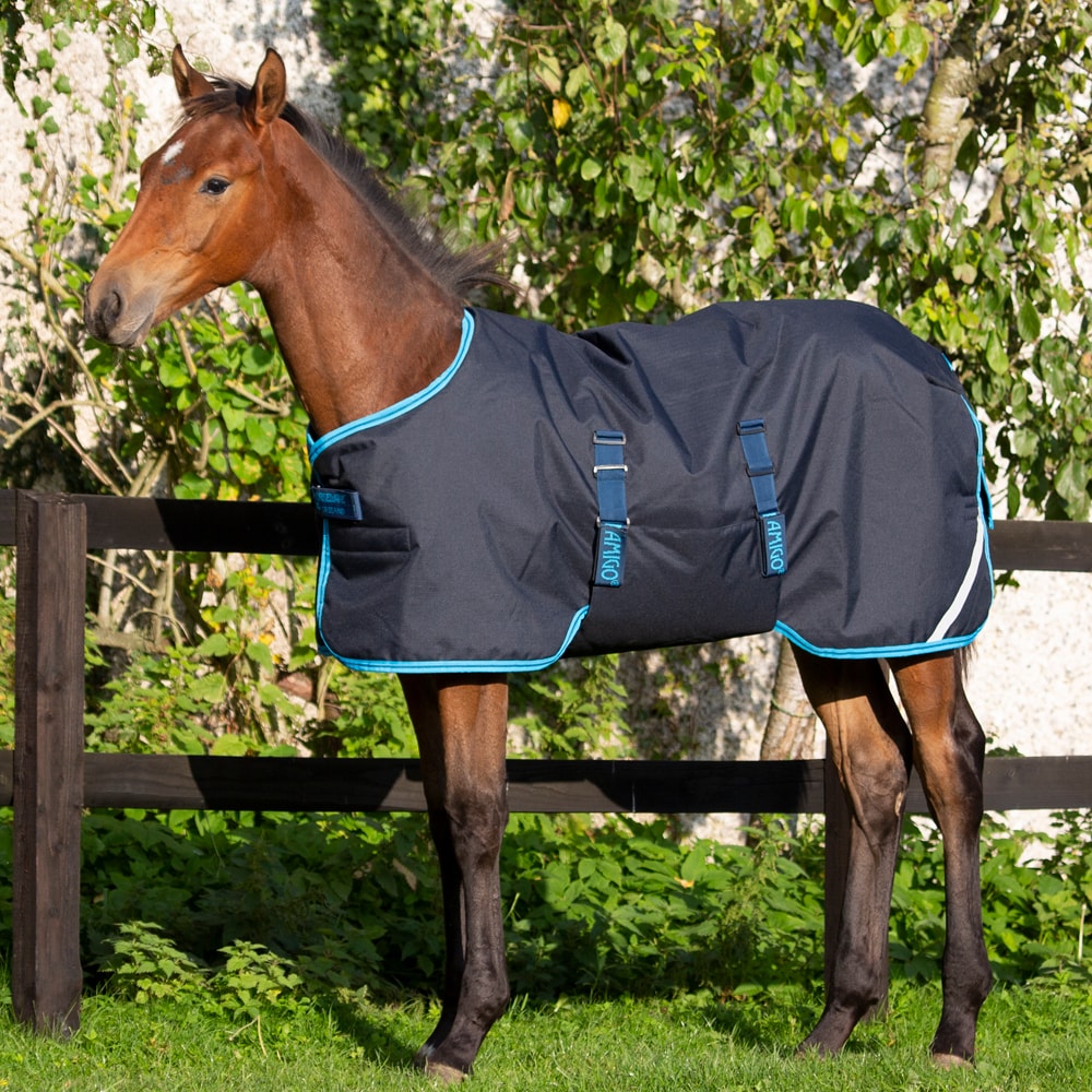 Foal rug  Amigo Foal Rug Horseware®