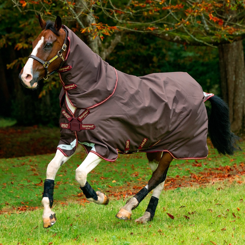 Turnout rug  Amigo Bravo 12 Plus 100 Horseware®