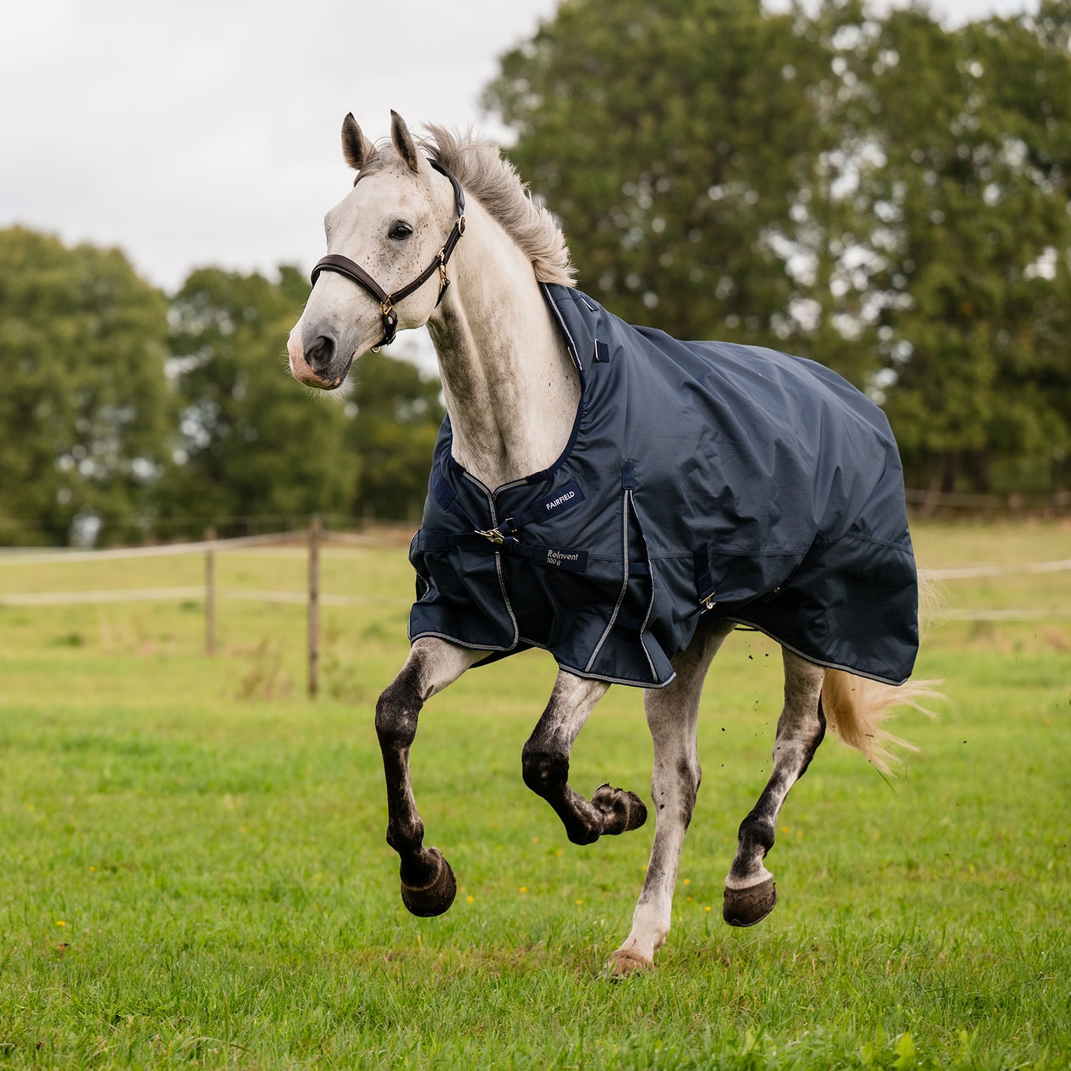 Turnout rug  ReInvent 100 g Fairfield®