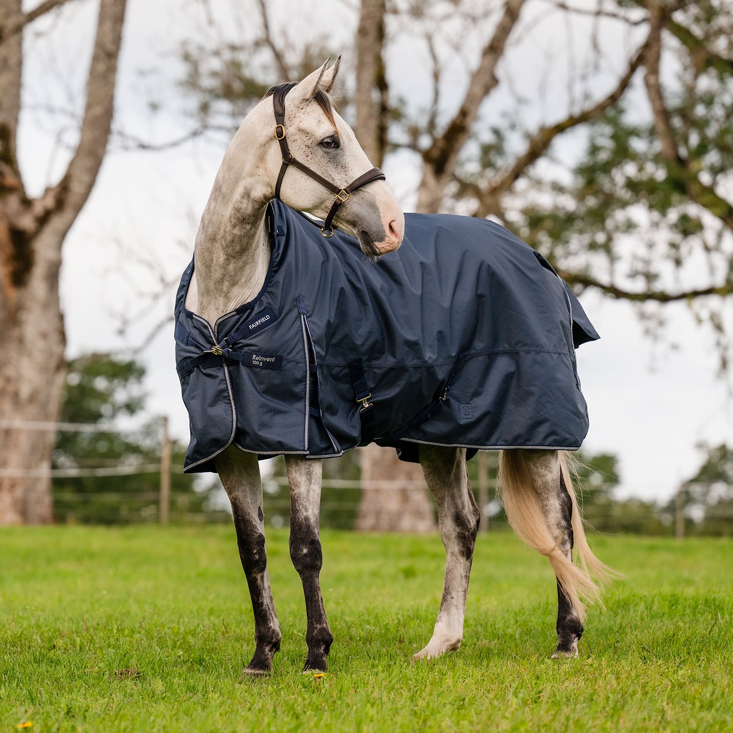 Turnout rug  ReInvent 100 g Fairfield®
