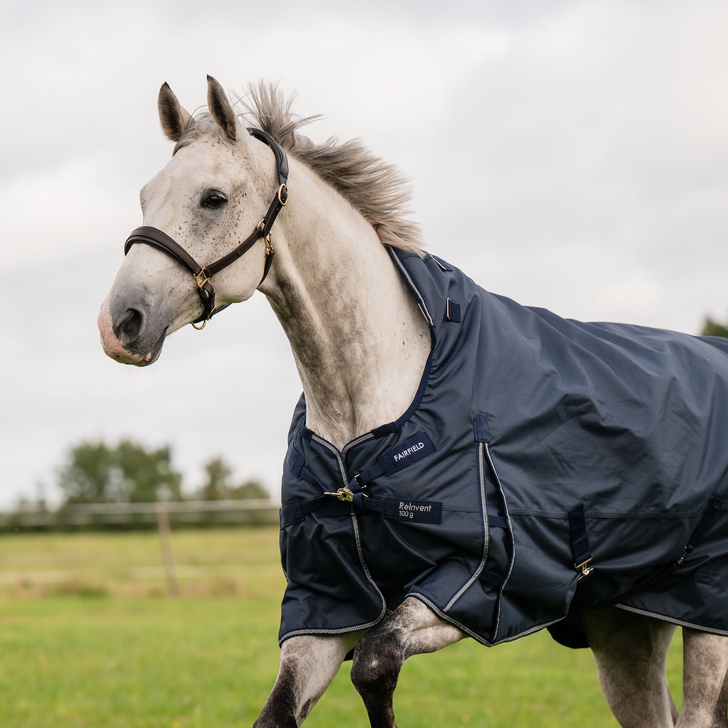 Turnout rug  ReInvent 100 g Fairfield®