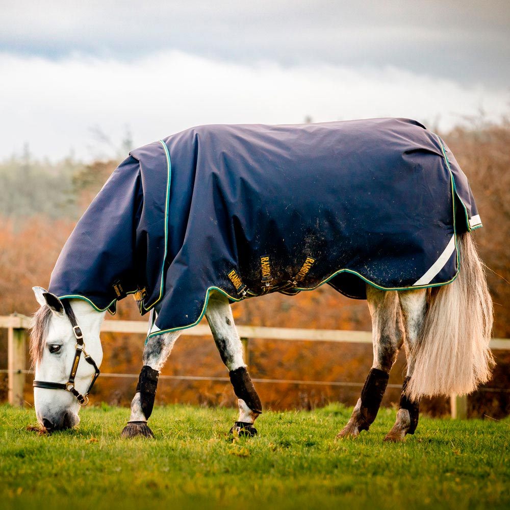 Winter rug  Rambo Duo Force 2,0 Horseware®