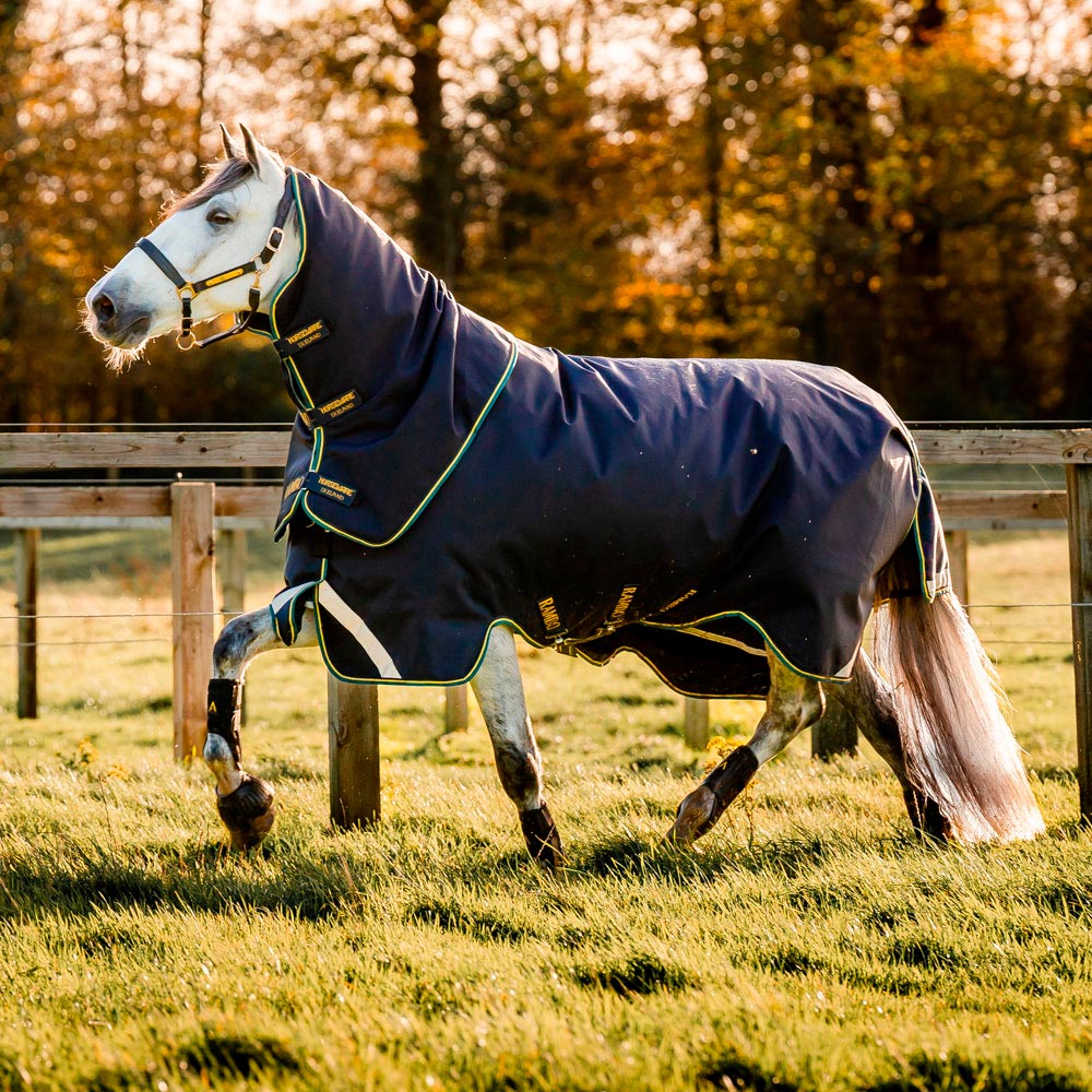 Winter rug  Rambo Duo Force 2,0 Horseware®