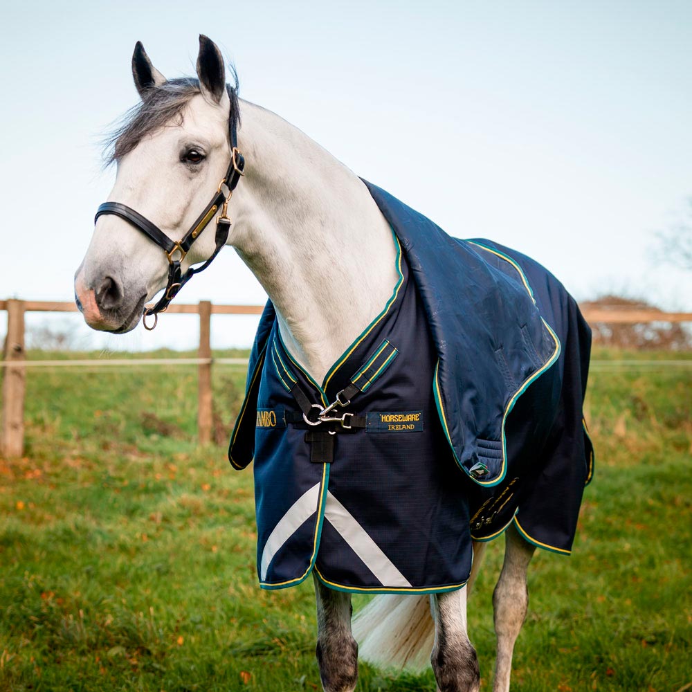 Winter rug  Rambo Duo Force 2,0 Horseware®