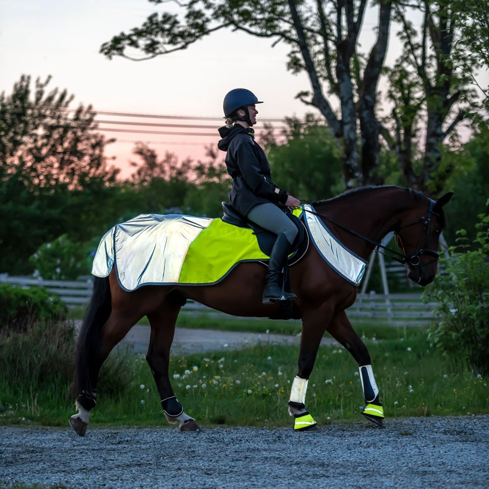 Reflective rug  Bright rider Fairfield®