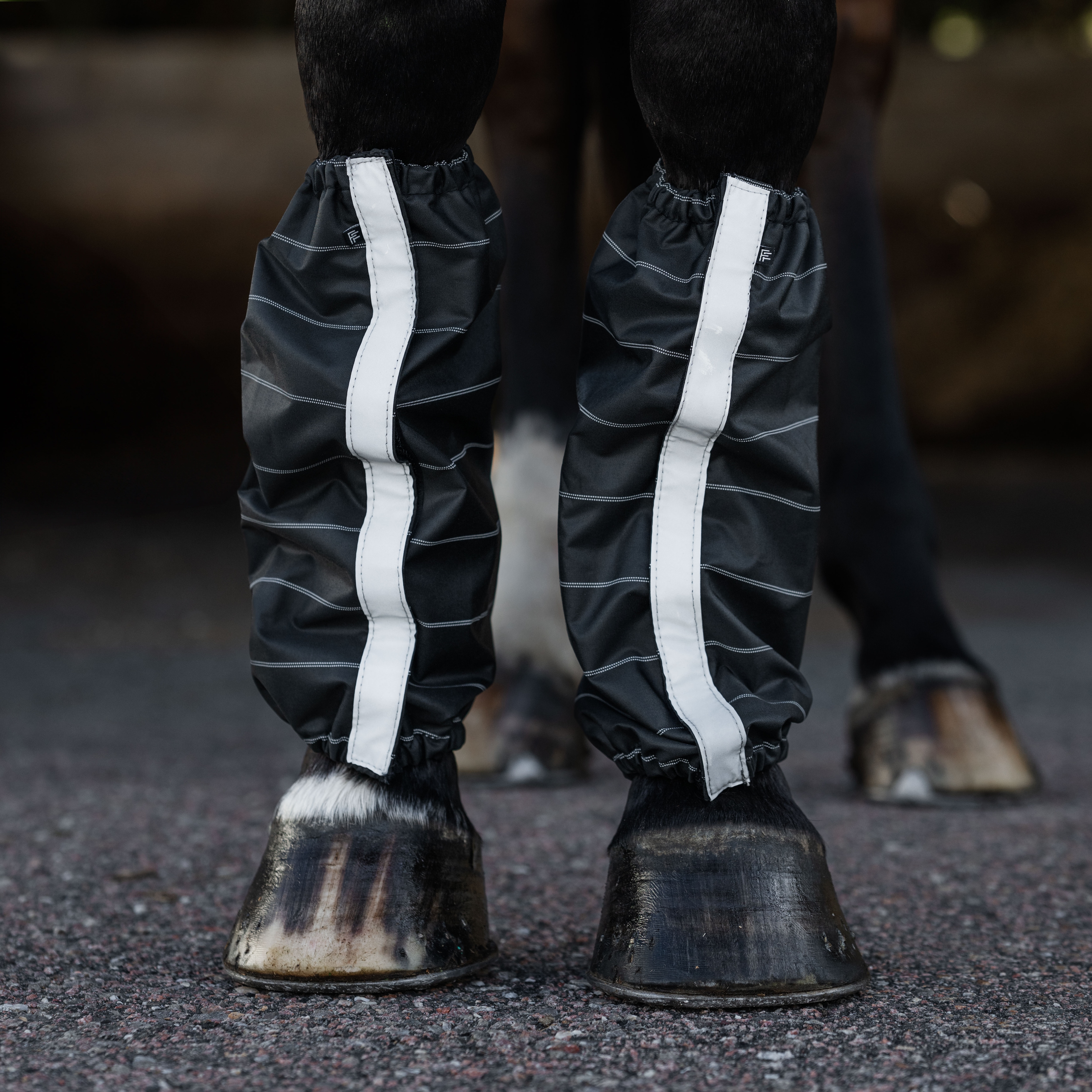 Gaiters  Gateway Fairfield®