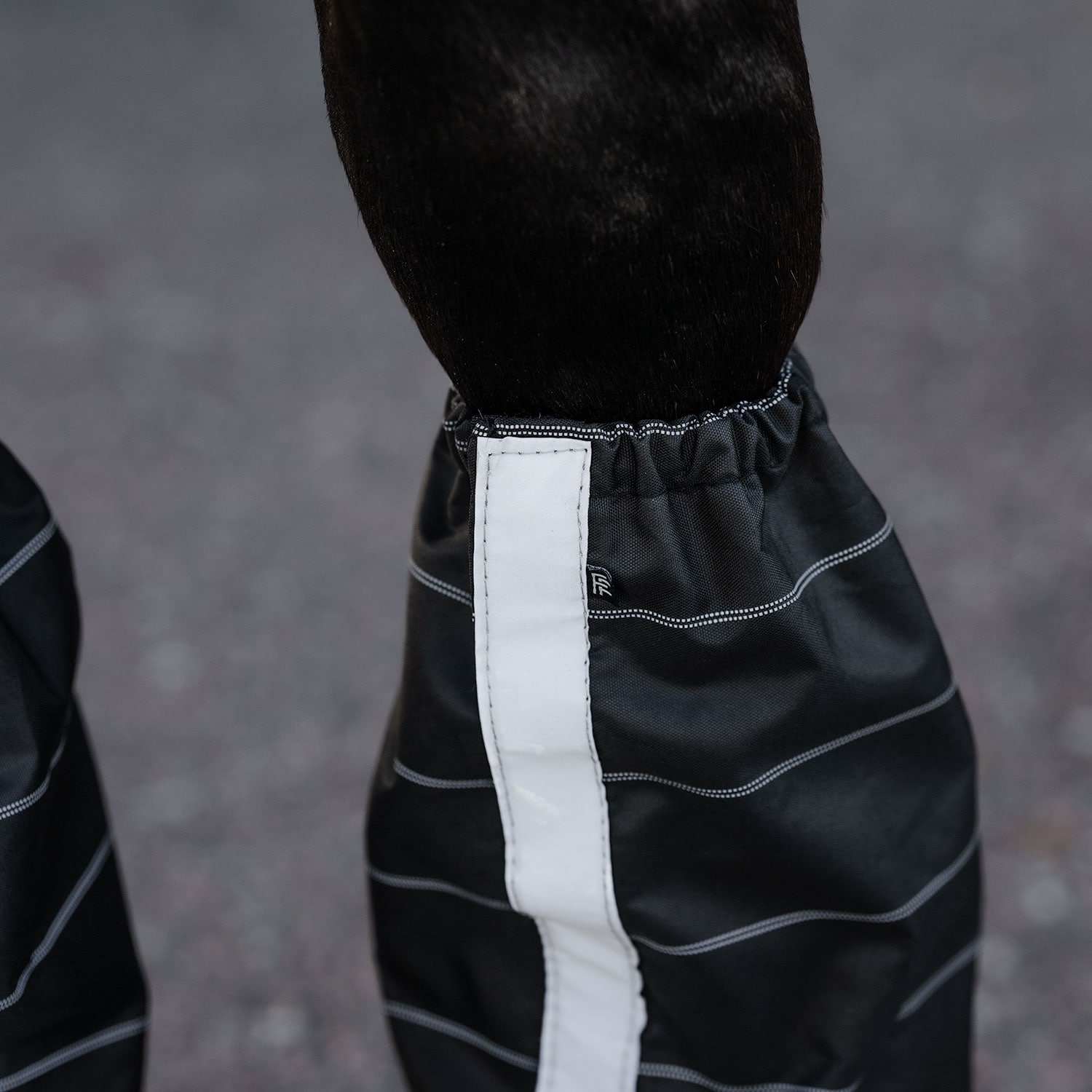 Gaiters  Gateway Fairfield®