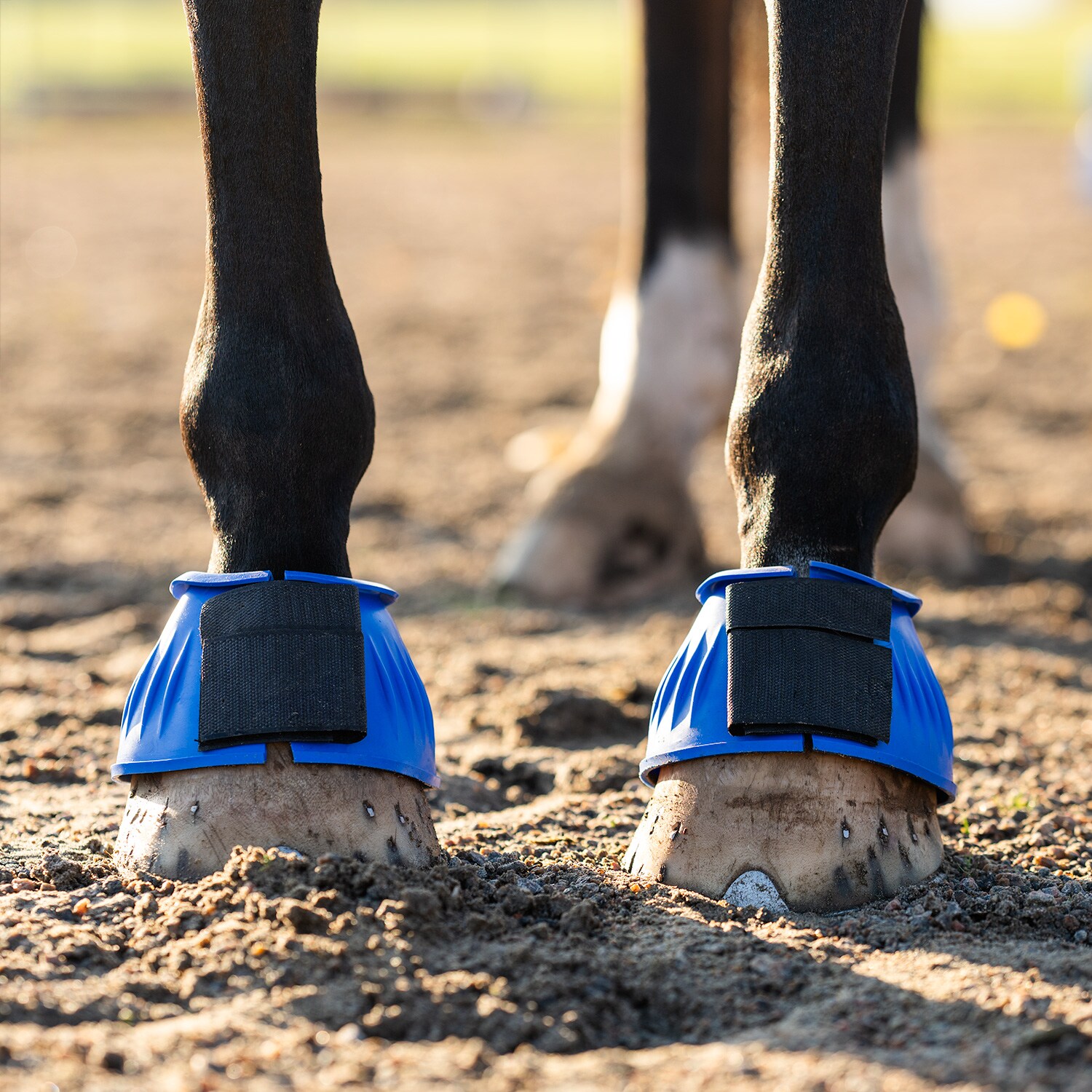 Boots Basic Fairfield®