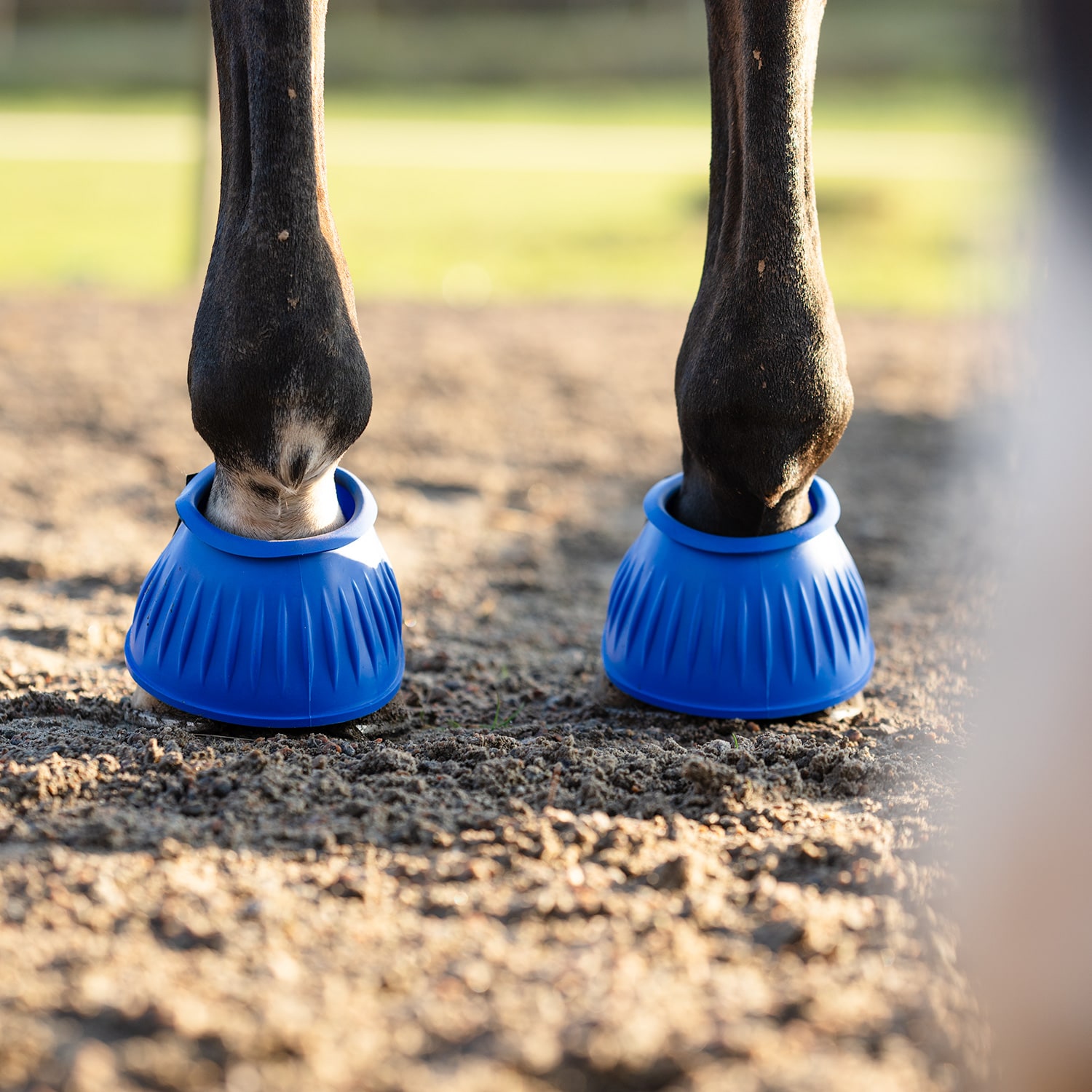 Boots  Basic Fairfield®