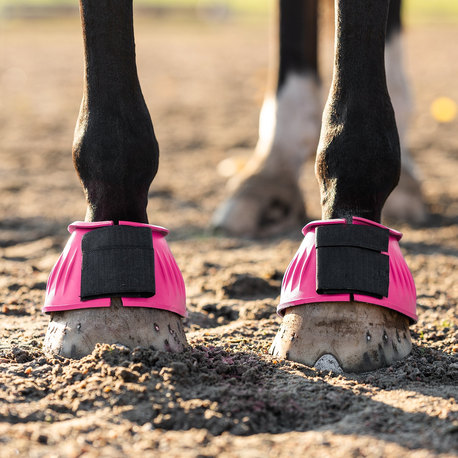 Boots Basic Fairfield®