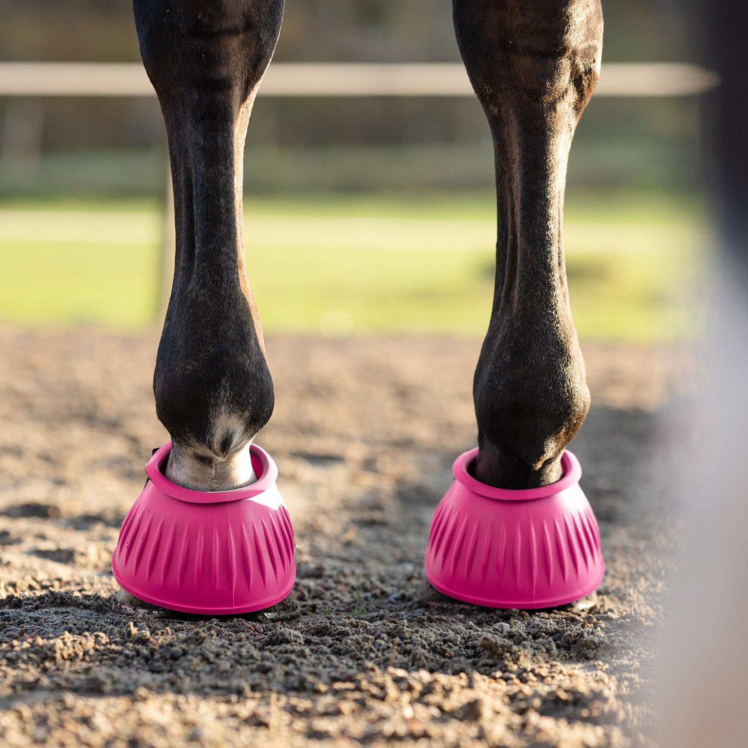 Boots  Basic Fairfield®